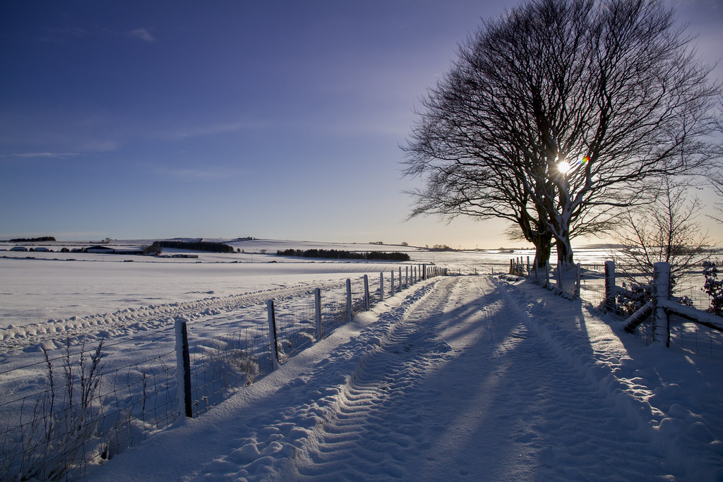 carly gillis add snow so icy photo