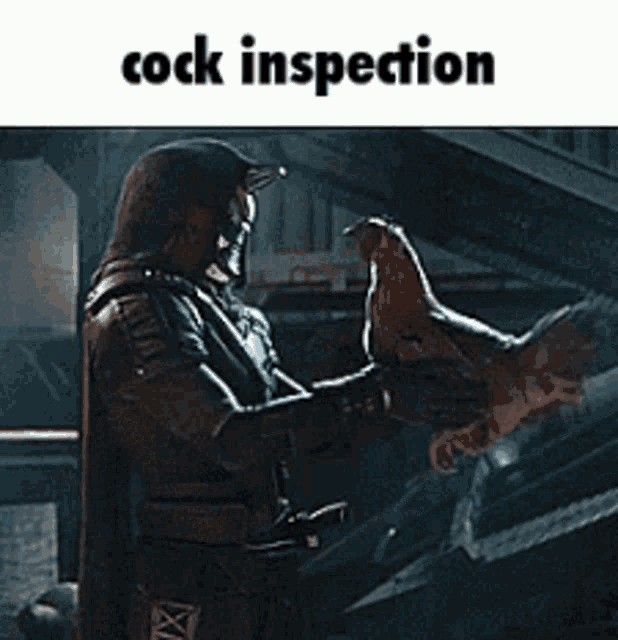 corey marchese add cock inspections photo