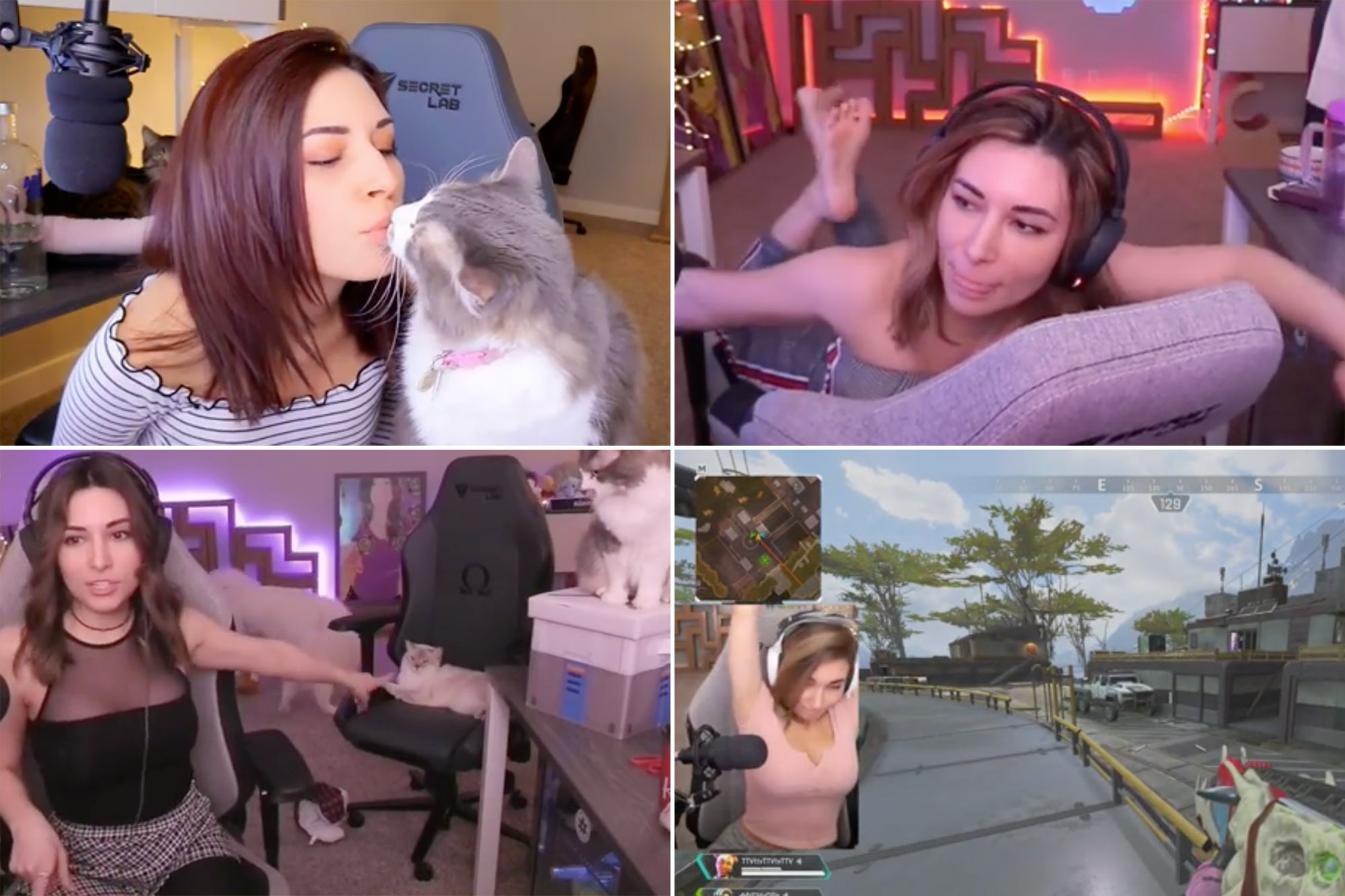 darrell hail add alinity tits photo